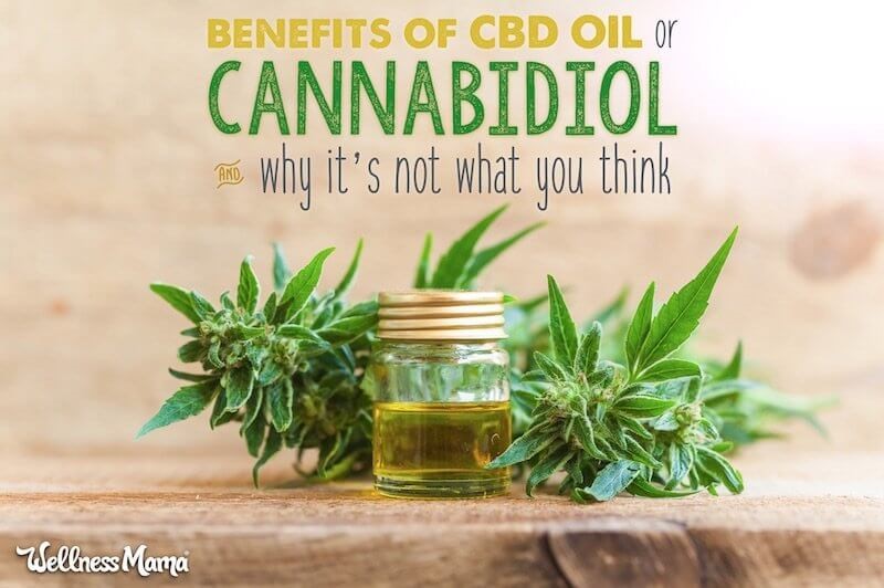 CBD Oil 
      Gummies 25mg Mount Olive 
      AL 35117